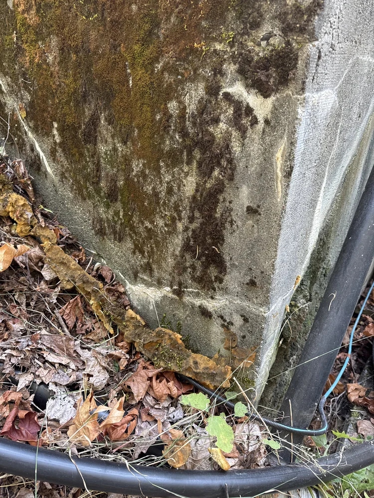 Boston Bar Water Tank Restoration - Gallery 3